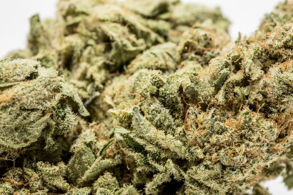 Stretch Marijuana Strain