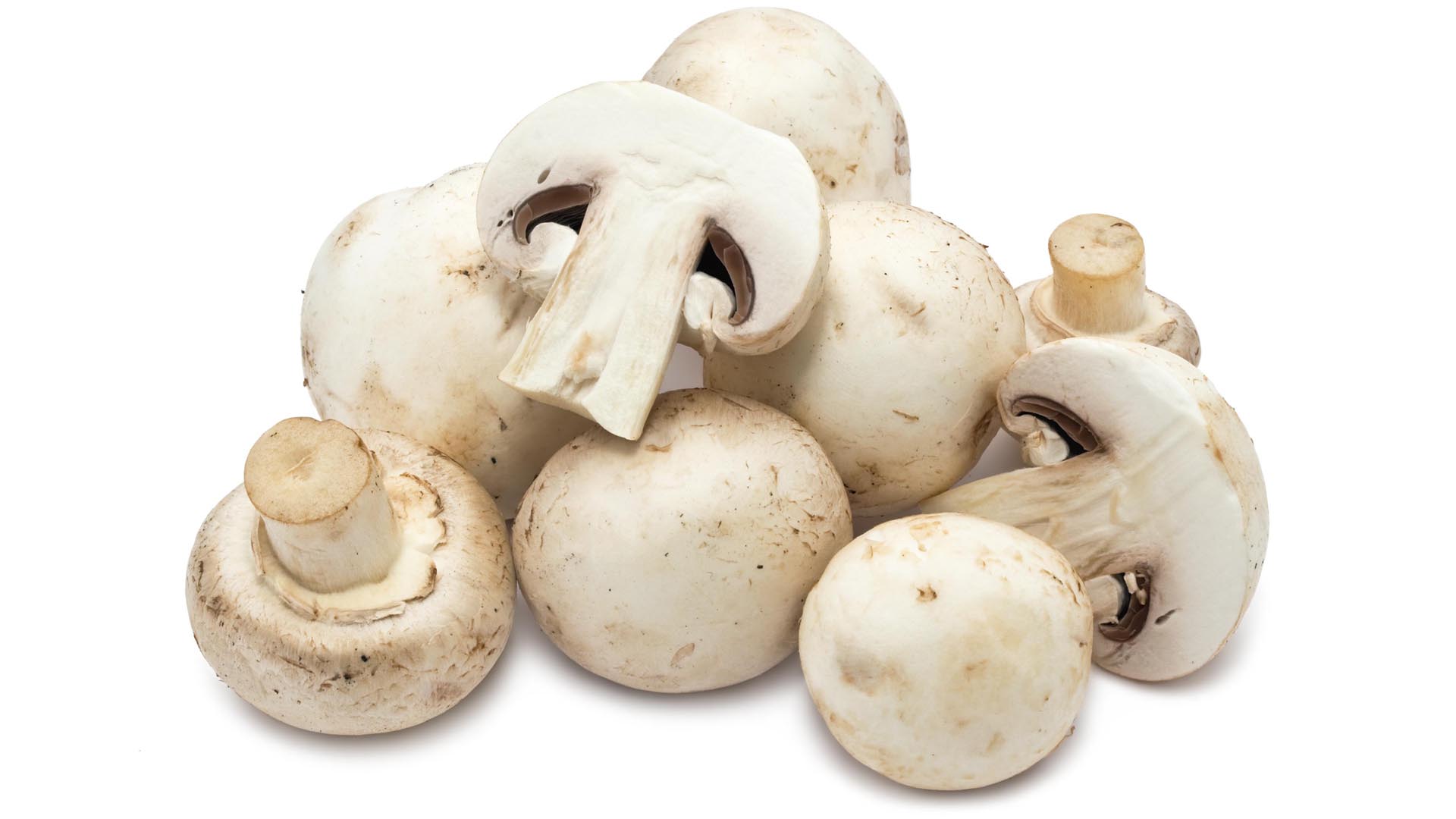 Benefits of Lion’s Mane Functional Mushrooms: A Comprehensive Guide